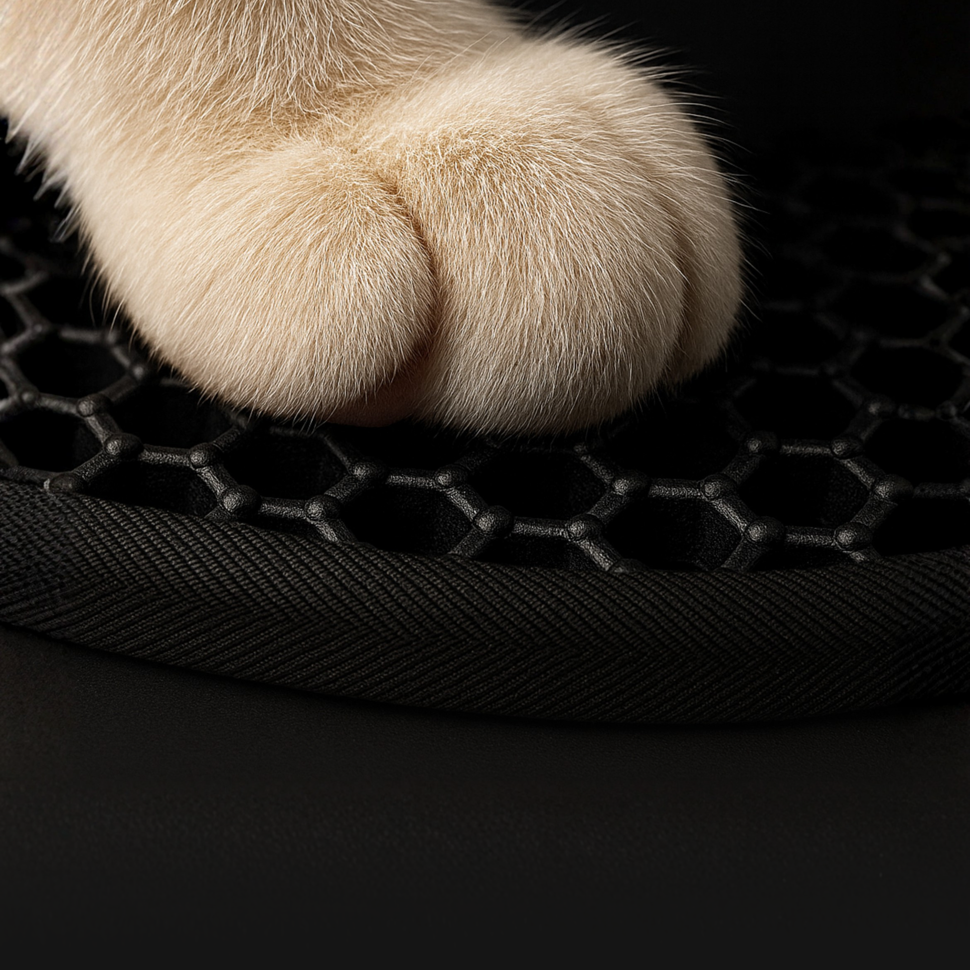 Alfombrilla Atrapaarena Premium Miaure (55×75 cm)